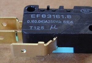 Microswitch EF83161.8 01 (0.04) A250v 5E4 T125